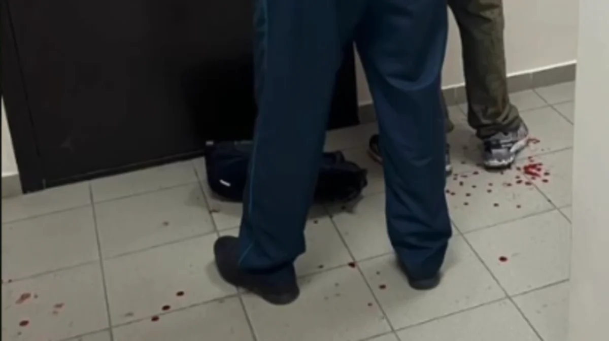 Астанада жас жігіт сүйіктісін өлтіріп, інісін пышақтады