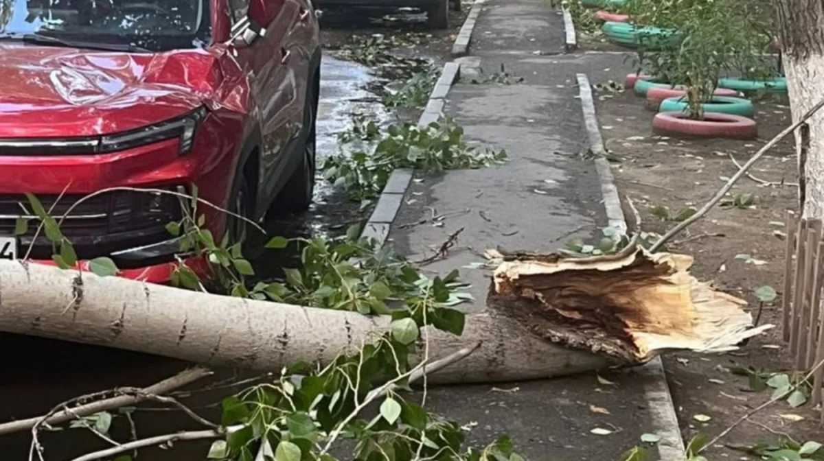 акимат области