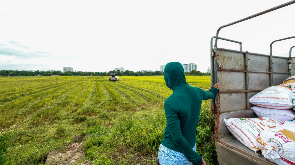 Кандасов активно переселяют в регионы с дефицитом рабочей силы