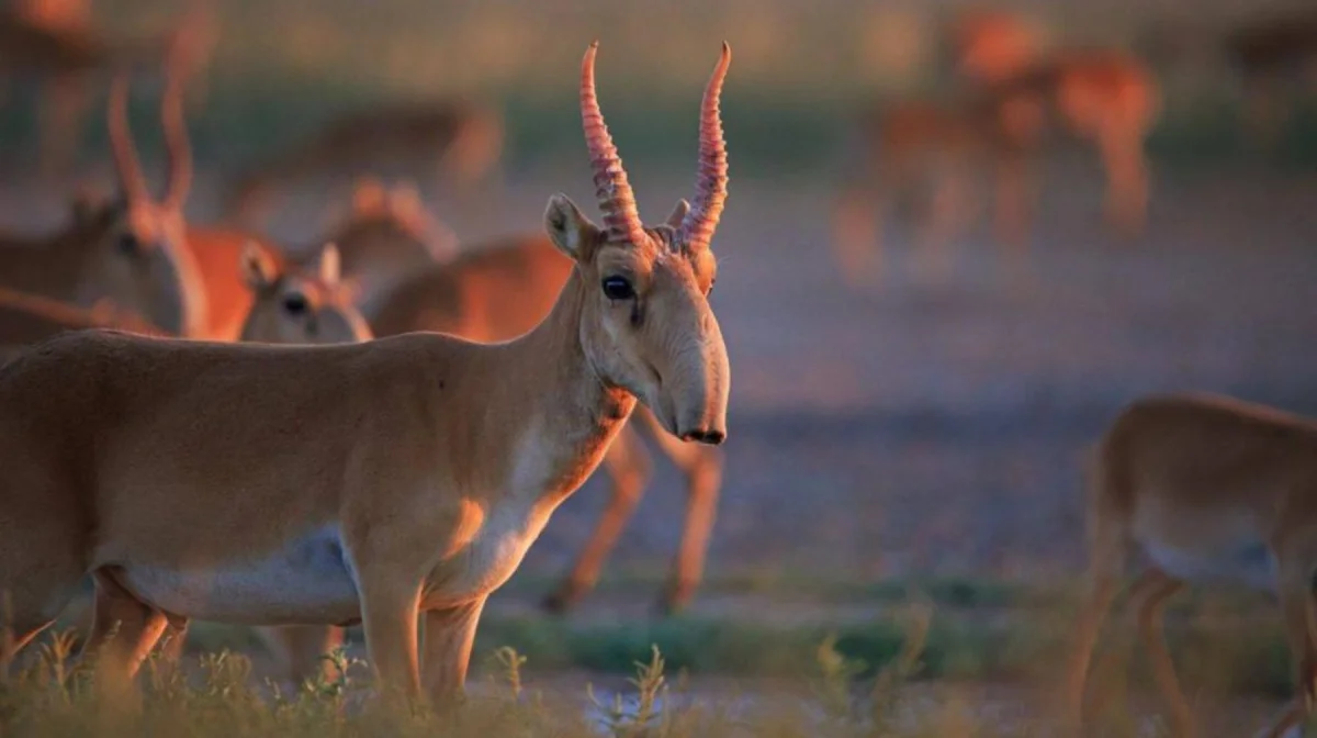 Фото: открытый источник