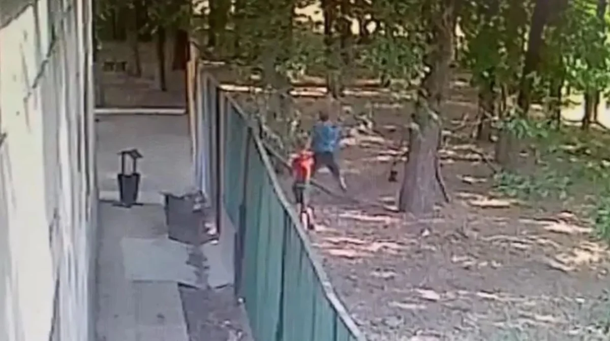 Үш ит талаған бала оқиғасы: Бақылау камерасынан видео жарияланды