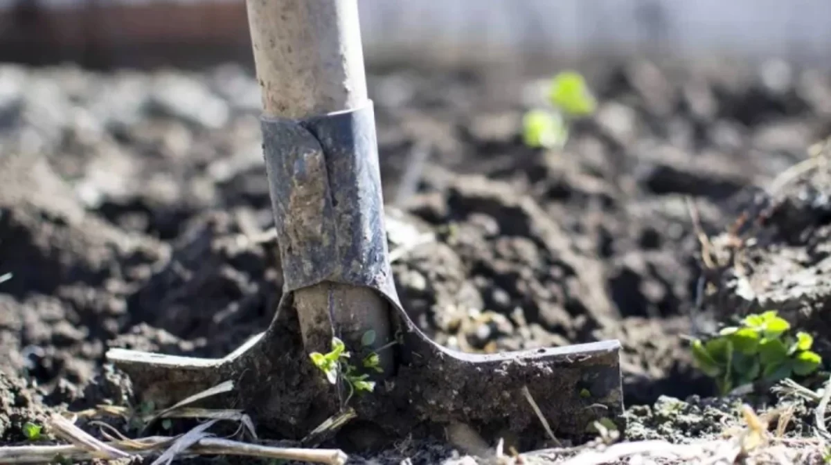 Ақмола облысының тұрғыны ұлын күрекпен ұрып, саусағын сындырған