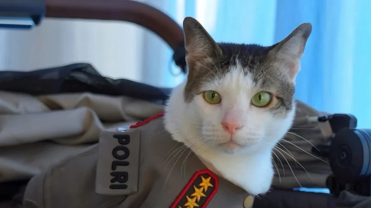 Фото: интернеттен