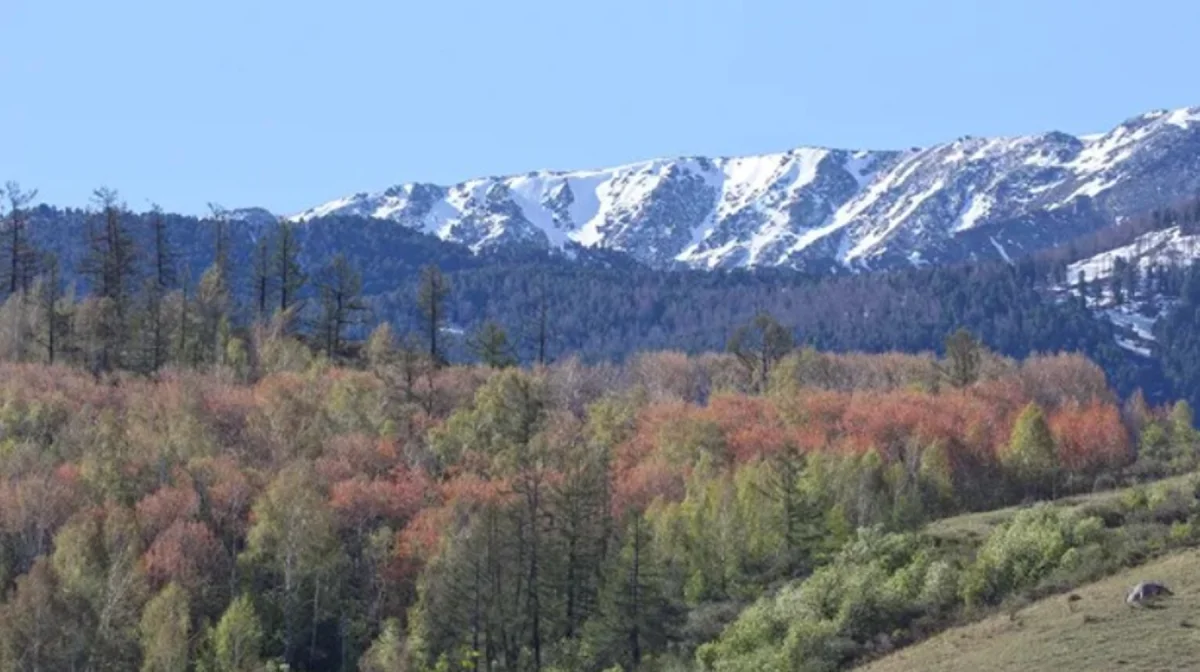 instagram.com/katonkaragay_nationalpark/