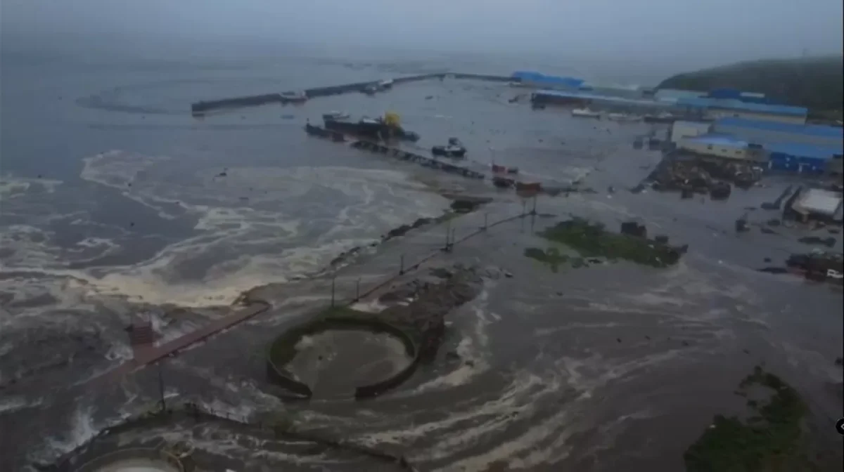 Фото: видео скрин