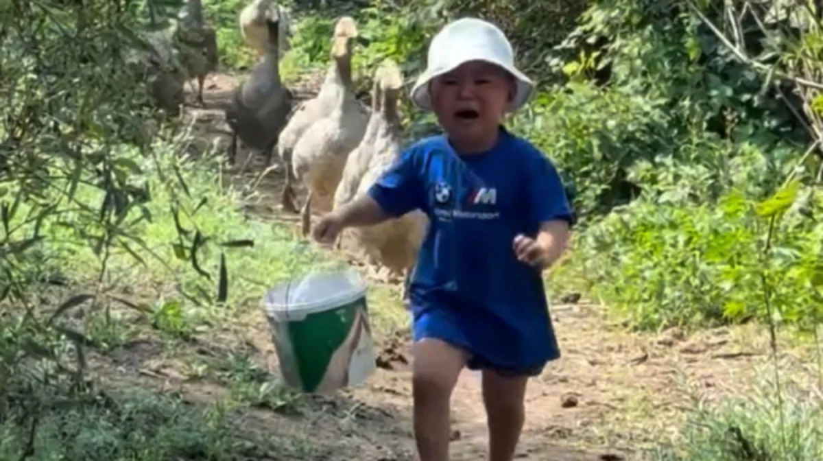 скриншот из видео