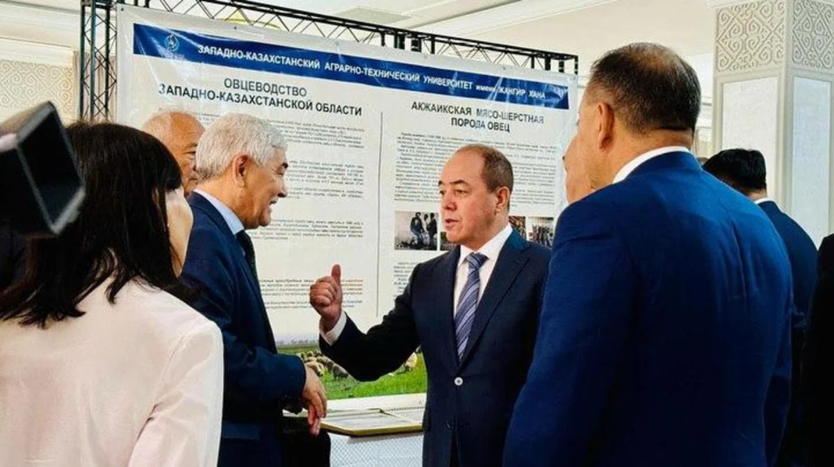 «Auyl fest. Қой шаруашылығы – 2025» фестивалі өтті