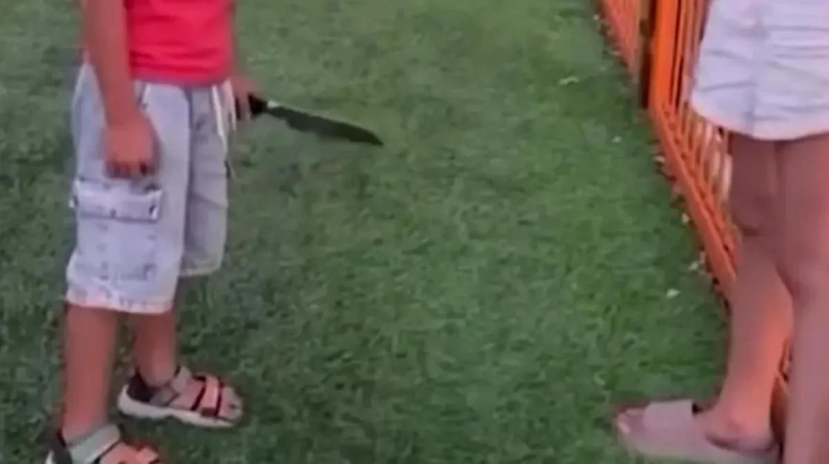 скриншот из видео