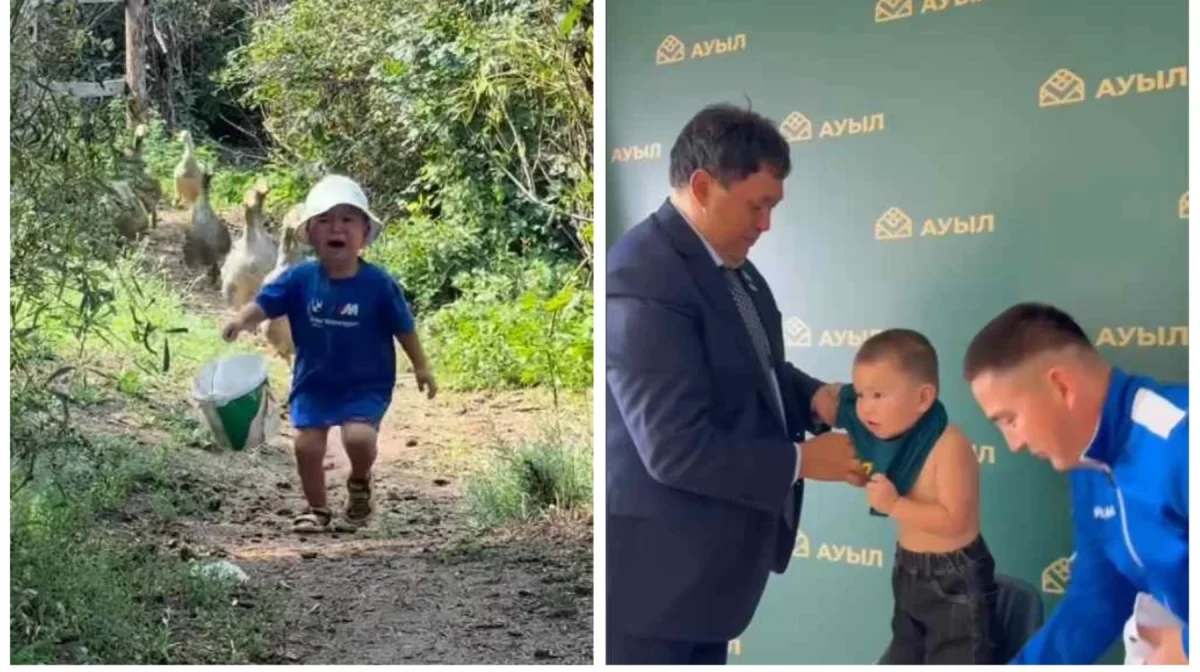 Қаздардан қашып танымал болған балаға 100 қаз сыйға берілді