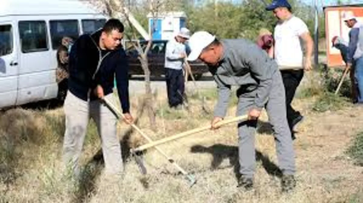 Түркістан қаласында World CleanUp Day сенбілік шарасы өтті