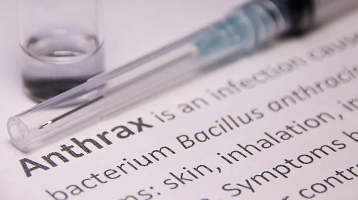 Түркістан облысында сібір жарасы тіркелді