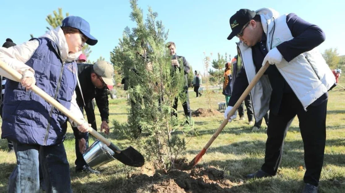 Түркістанда күзгі ағаш отырғызу акциясы өтті