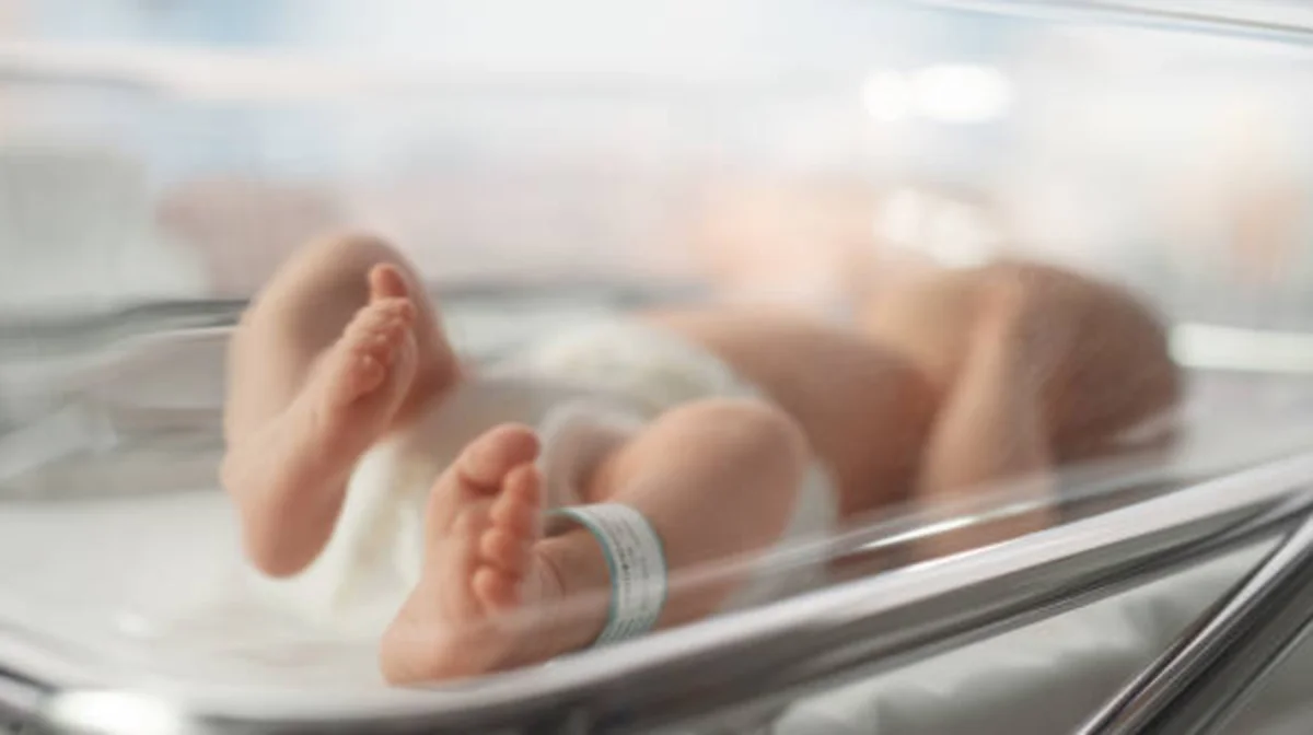 Жаңа туған сәбилерді Қазақстаннан әкетуге тырысқан шетелдіктер ұсталды