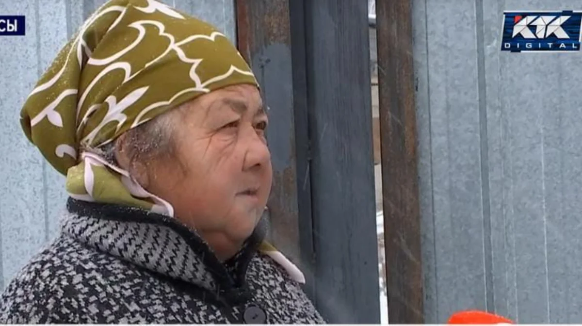 Фото: видеодан скриншот