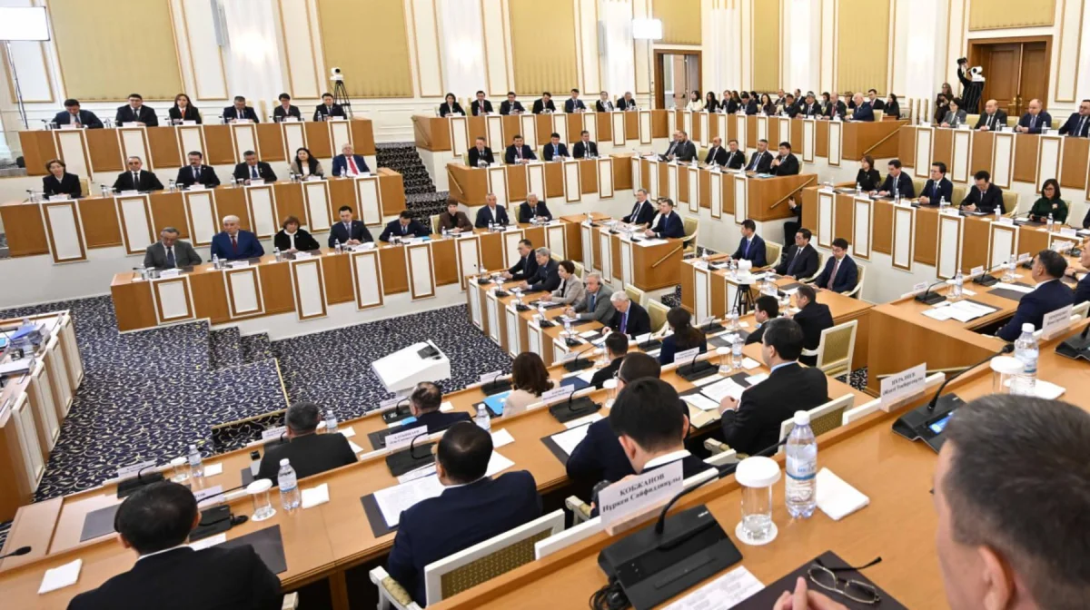 Вице-президентке қойылатын талаптардың үлгісі жарияланды