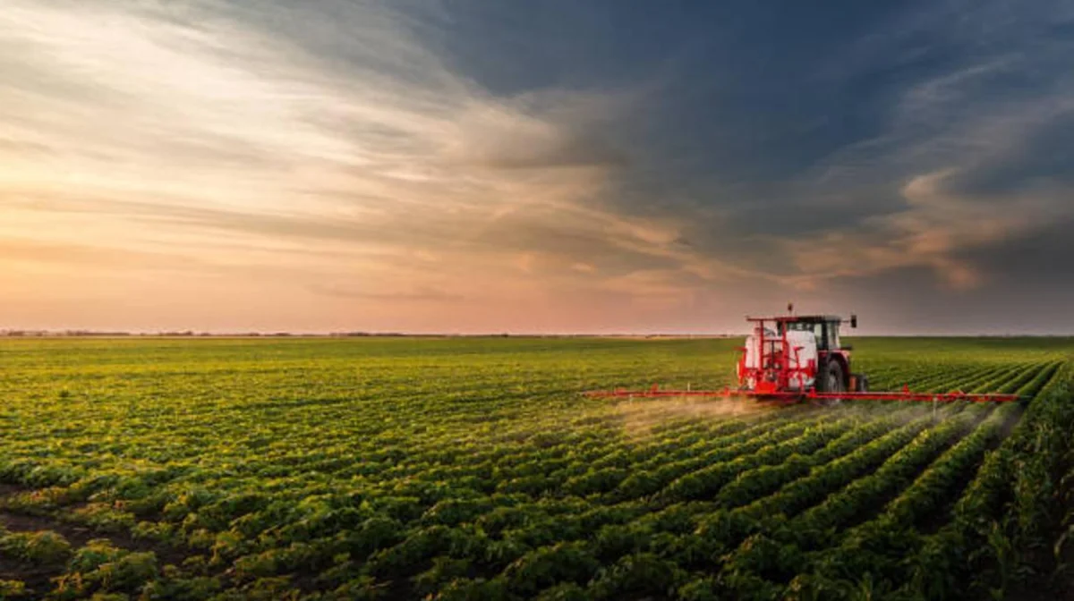 Алматинская область в числе лидеров по объему инвестиций в агропромышленный комплекс