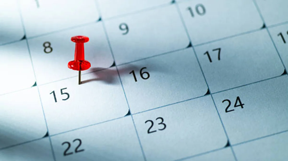 Жаңа Конституция қабылданған күн мемлекеттік мереке деп жарияланады