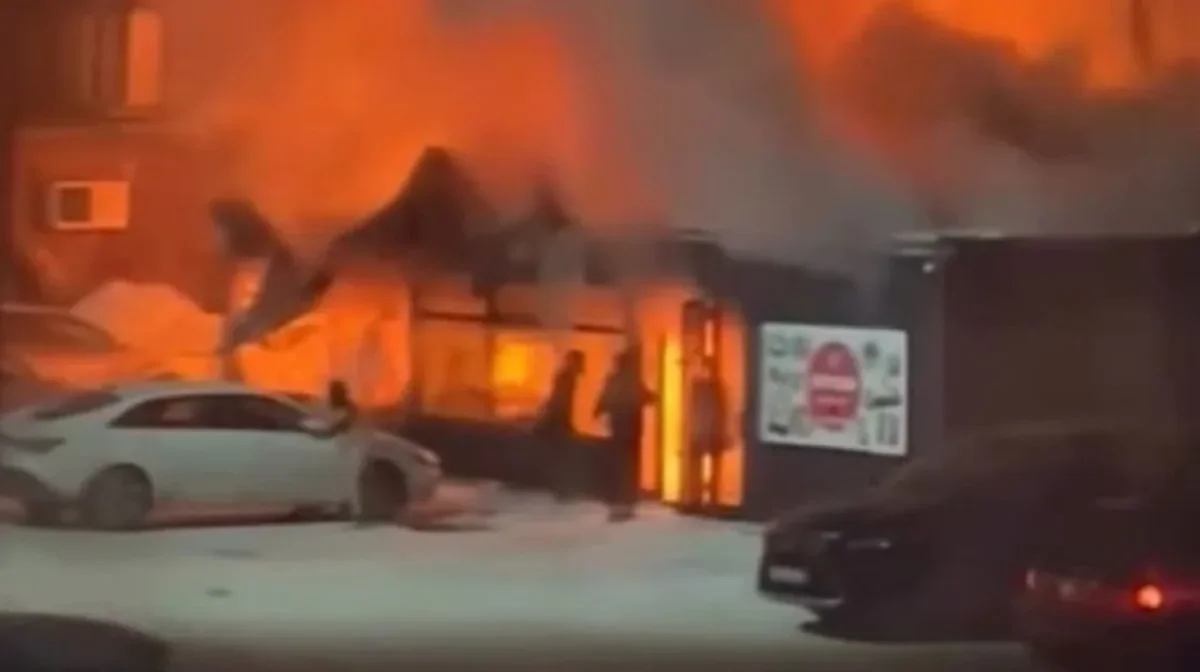 видеодан скриншот