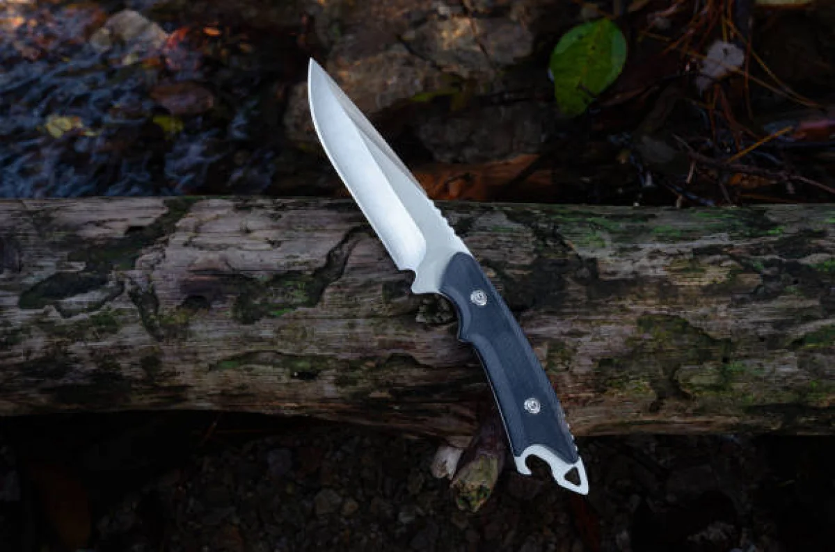 Фото: istockphoto