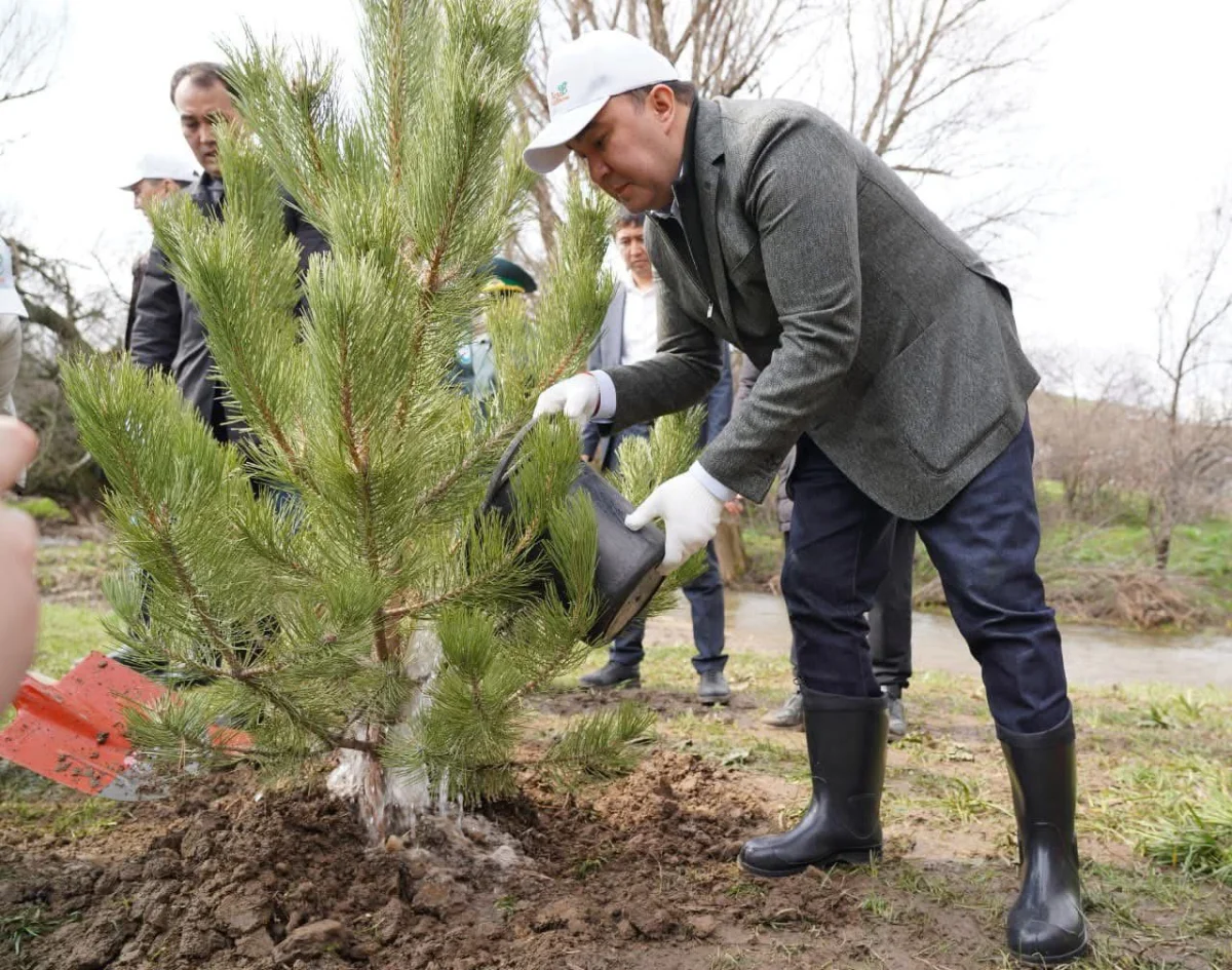 Түркістан облысы әкімдігінің баспасөз қызметі