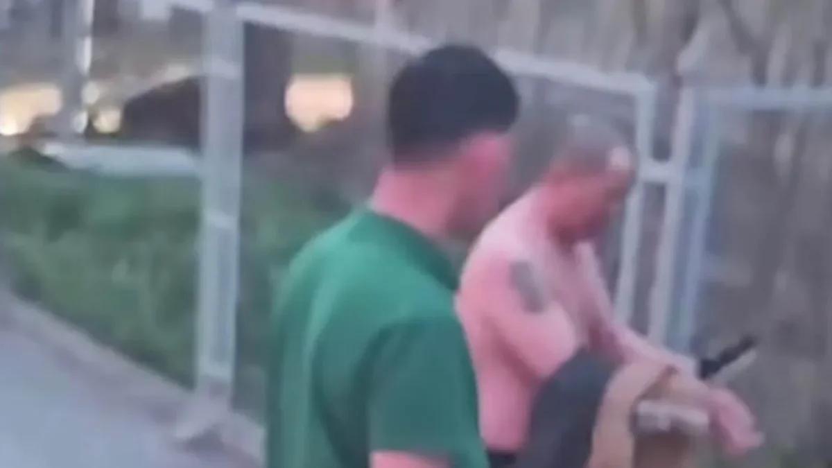 Фото: видеодан скриншот