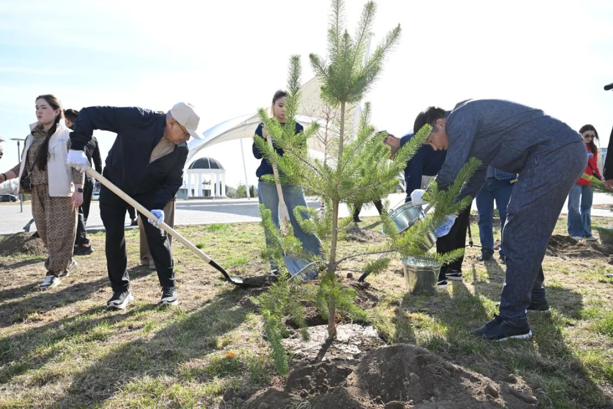 Дмитрий Ерофеев