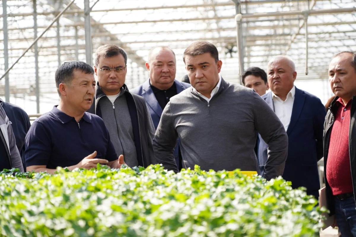 Фото: Түркістан облысы әкімінің баспасөз қызметі