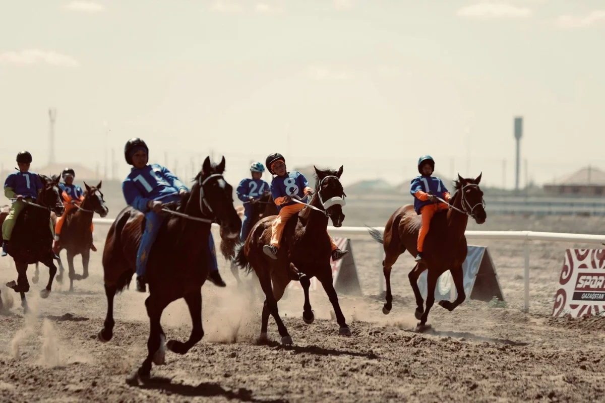 Қызылорда облысы әкімінің баспасөз қызметі