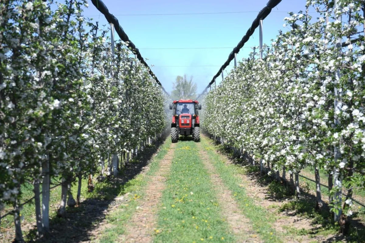 Фото: Алматы обл. әкімдігі