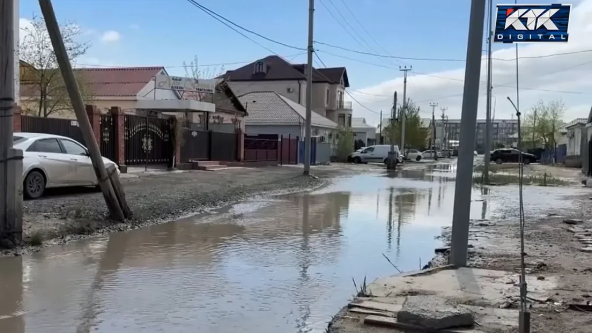 Фото: КТК арнасы