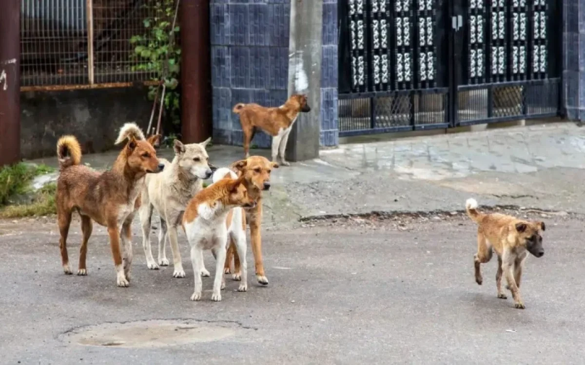 Фото: shutterstock