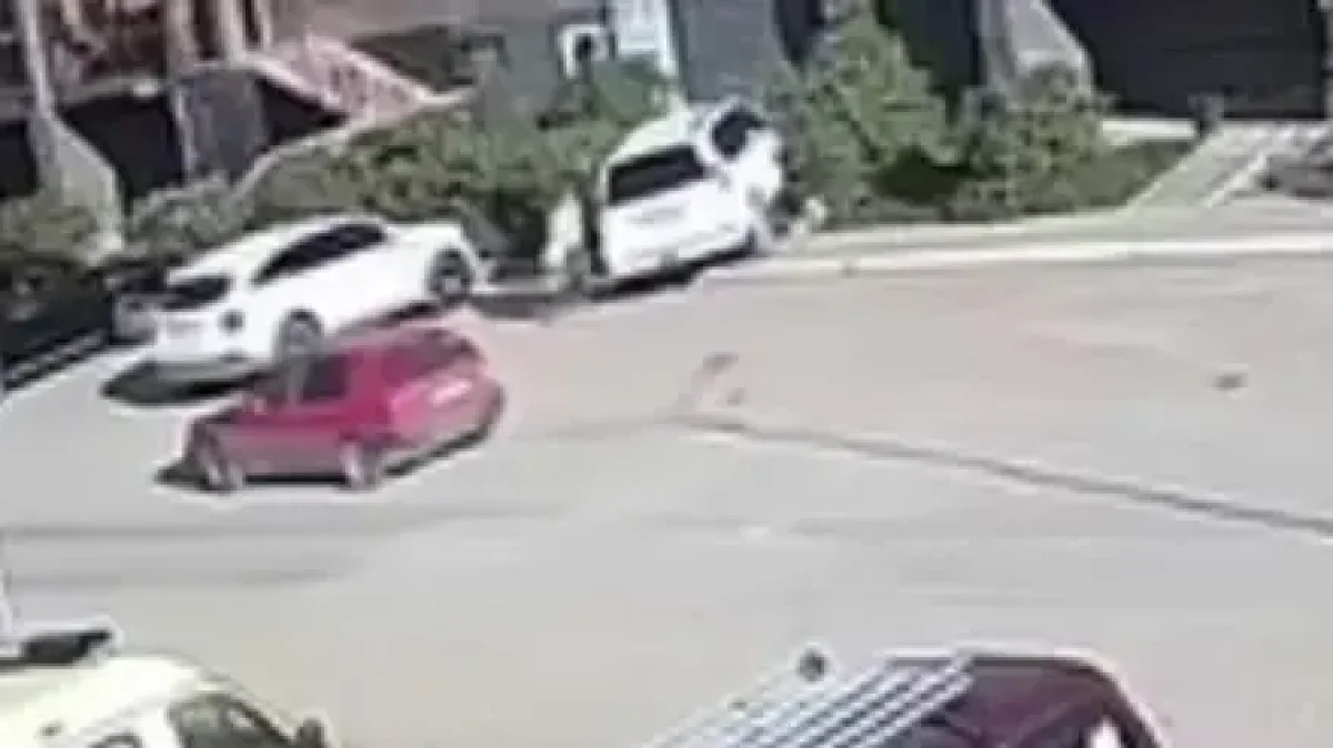 Фото: скриншот из видео