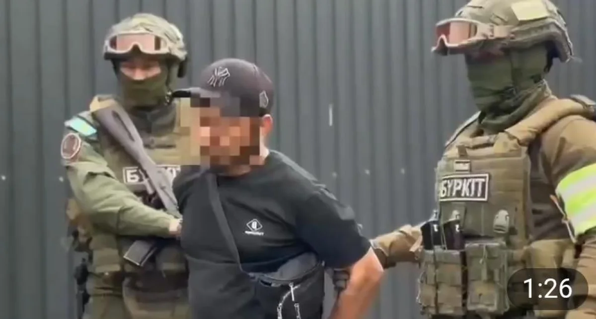 Фото: видеодан скриншот