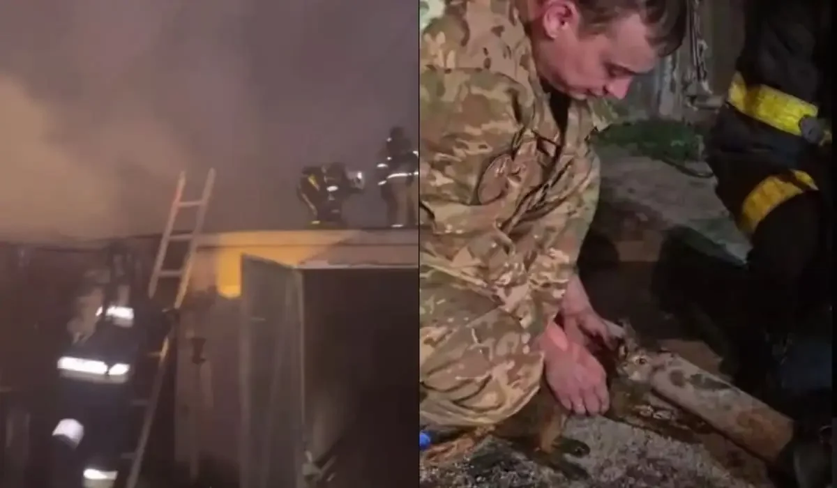 Фото: скриншот из видео МЧС РК