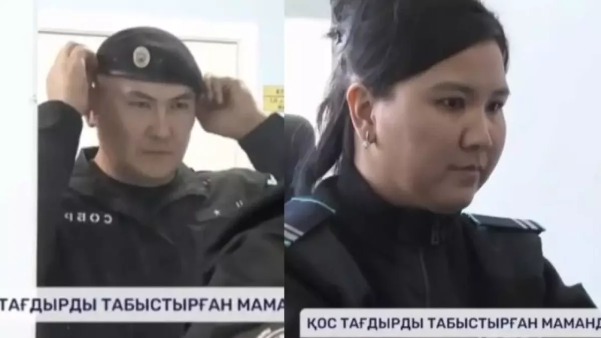Фото: видеодан скриншот