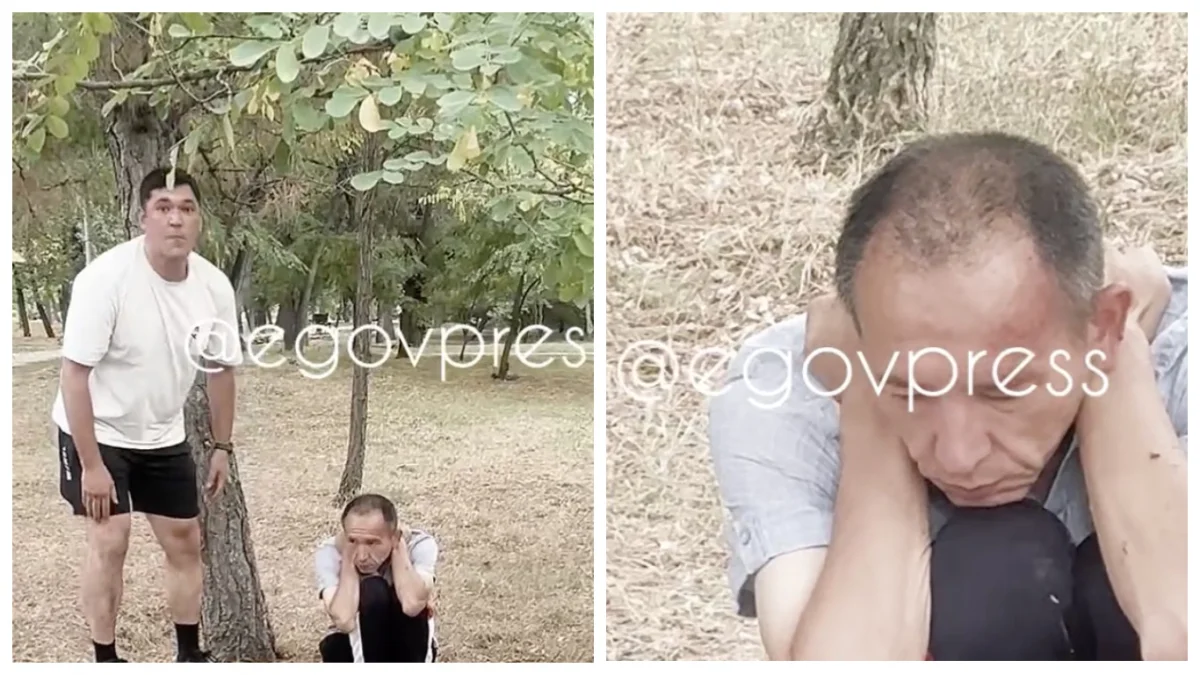 egovpress
