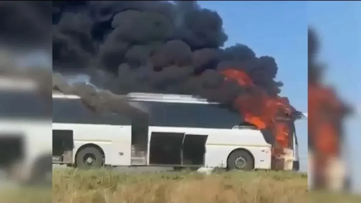 видеодан скрин