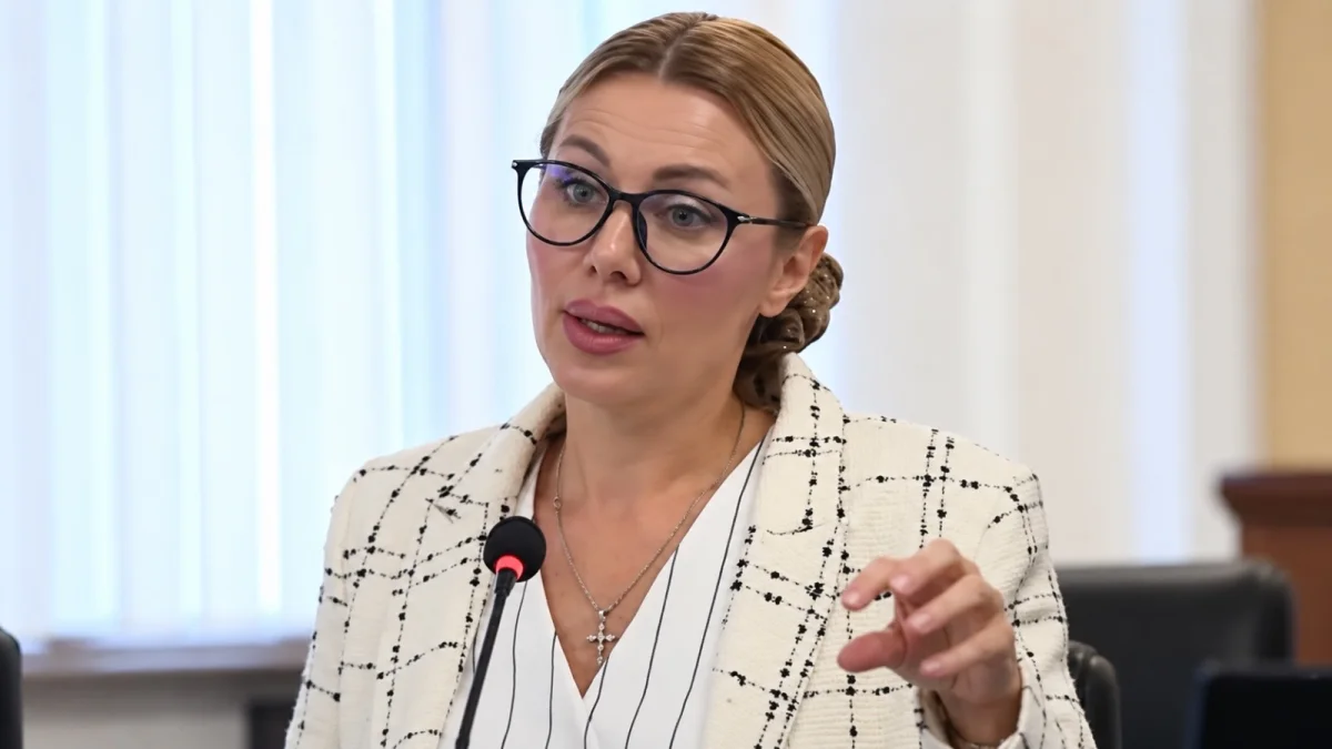Видеодан скрин