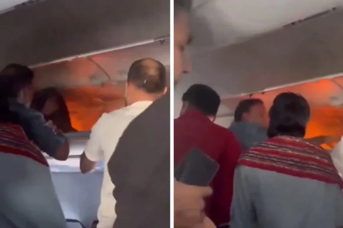 видеодан скрин