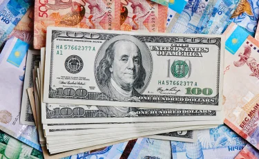 Депутат раскритиковал правительство за изъятия из Нацфонда