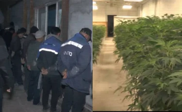 Рыбное хозяйство оказалось подпольной нарколабораторией