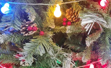 Как казахстанцы отдохнут на Новый год