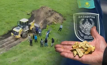 В Костанайской области на пастбище добывали золото
