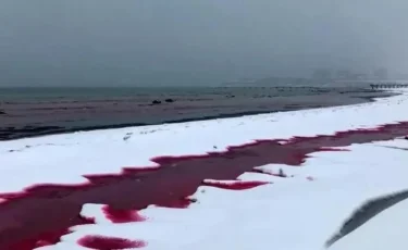 Каспий стал красным: жители Актау увидели необычное природное явление