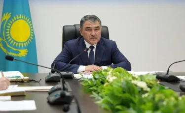 В Казахстане запустили систему прогнозирования паводков Tasqyn