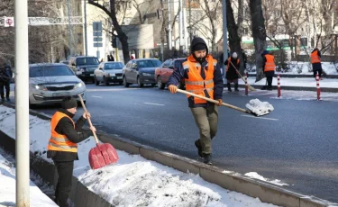 «Алматы – біздің ортақ үйіміз»: қала тұрғындары экологиялық науқанға қатысып жатыр