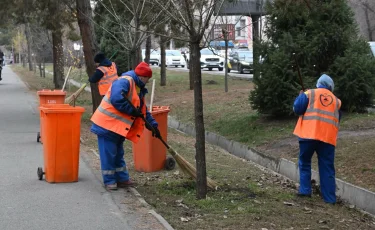 Алматинцев призывают убирать за собой мусор, беречь природу и соблюдать чистоту
