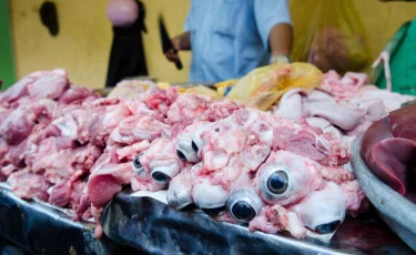 Мясной цех в Астане работал без документов в антисанитарных условиях