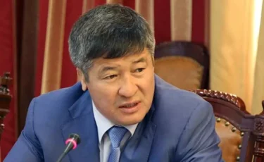 Даулет Турлыханов лишился должности