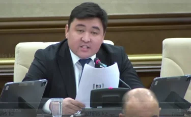 Еліміздің 10 облысында ана мен бала өлімі көбейген – депутат